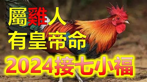 屬雞今年運勢|2024下半年走大運！4生肖運勢崛起 屬雞「事業起飛黃。